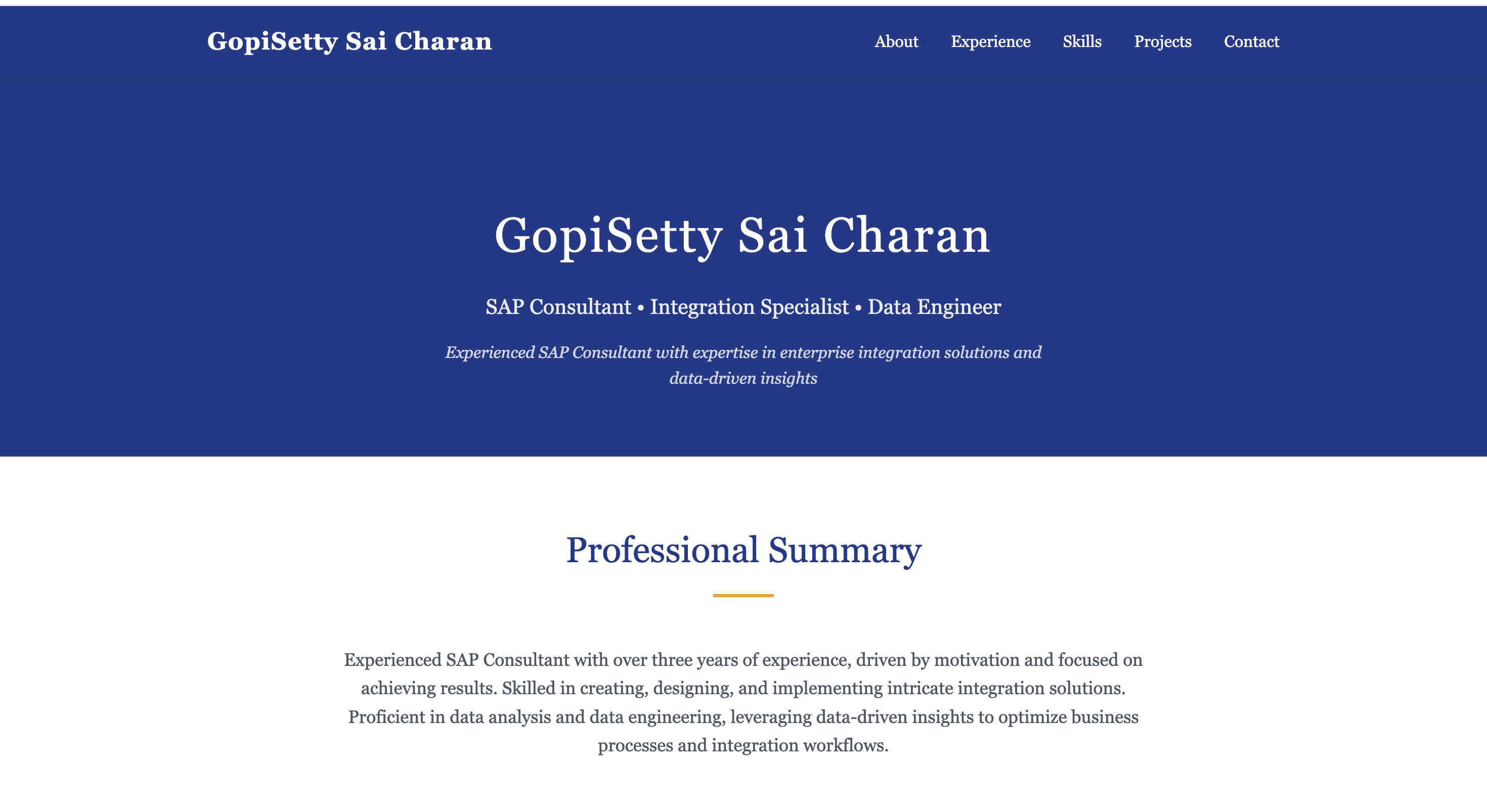 Classic Professional portfolio template preview - classic style