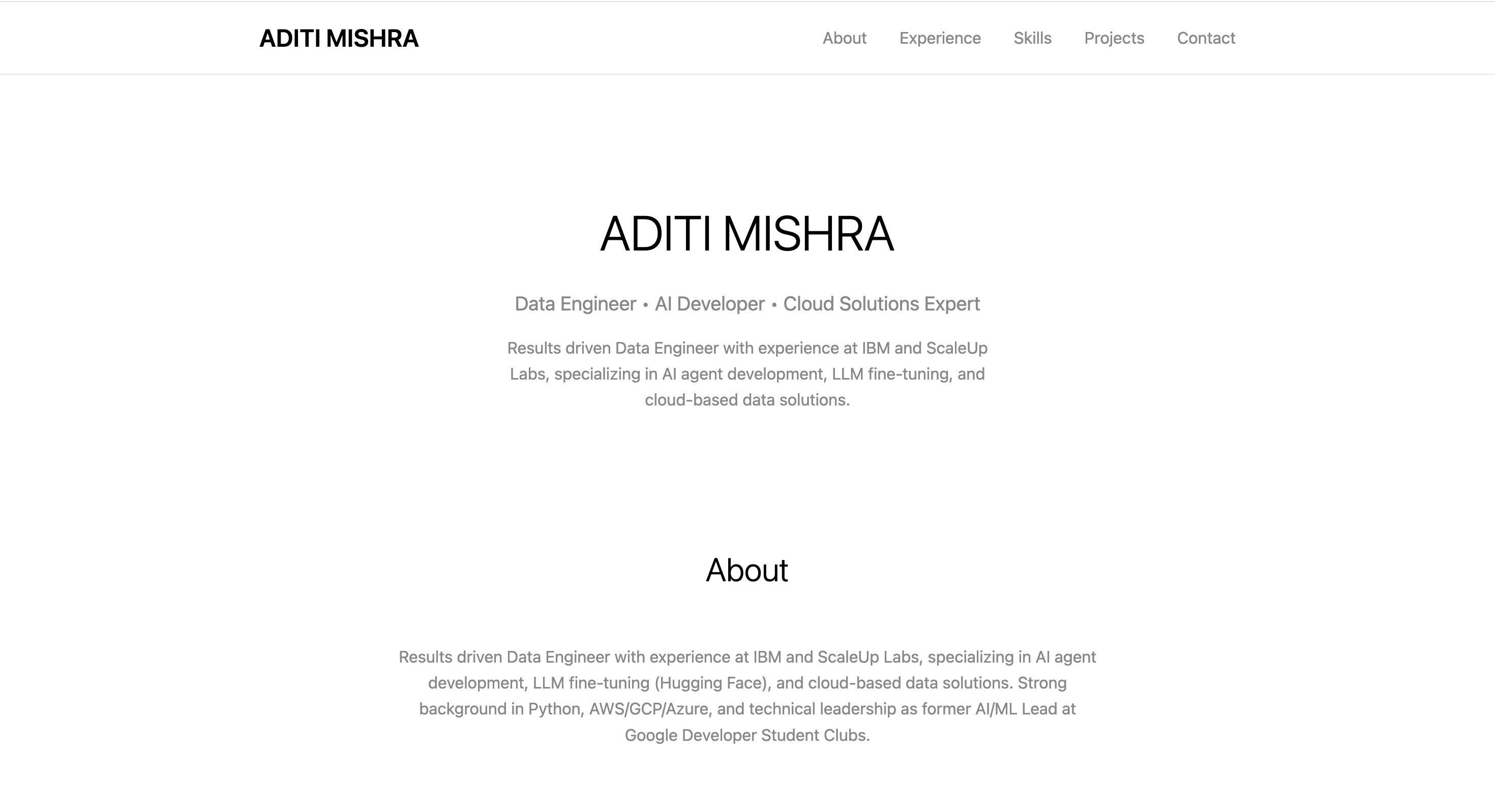 Minimal Clean portfolio template preview - minimal style